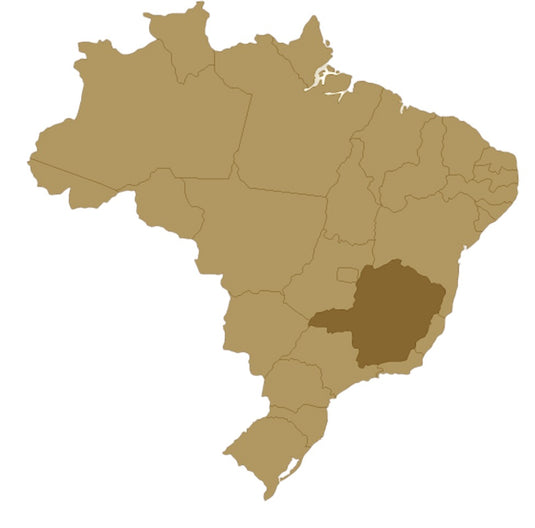 BRAZIL GUAXUPÉ NATURAL COFFEE BEANS