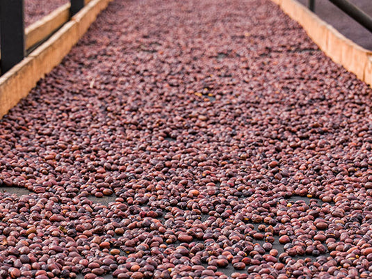 Colombian Coffee Beans